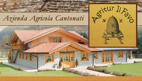 Azienda Agricola Il Favo
